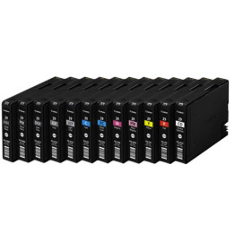 PGI29: 12 compatible cartridges for Canon Pixma Pro 1