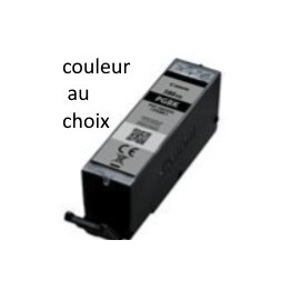 PGI580/CLI581XXL: alimentaire (cartouche couleur au choix)