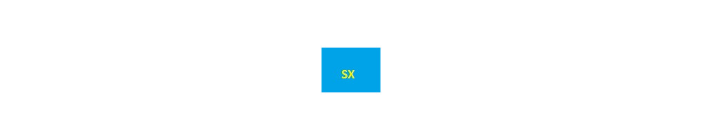 cartouches compatible alimentaire pour Epson série SX