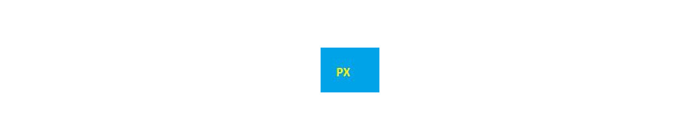 cartouche d'encre Epson PX