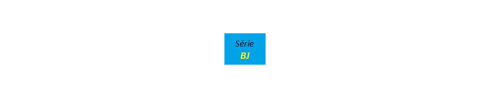 Canon BJ