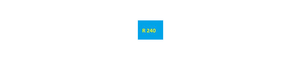 cartouche d'encre Epson R240